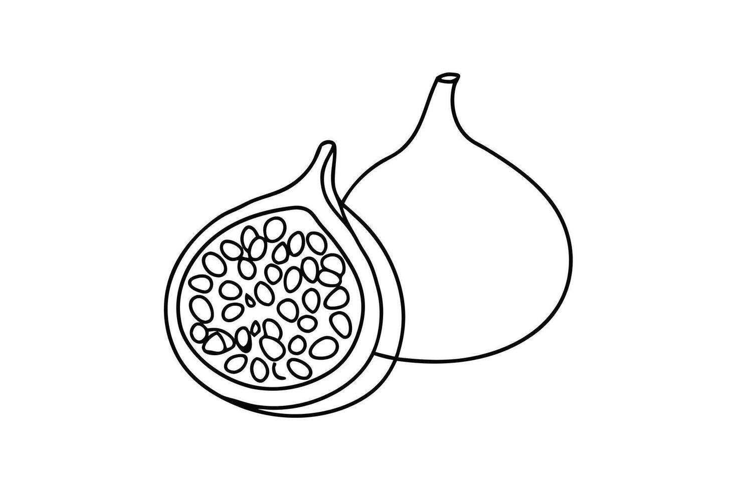 Figs Line Art Drawing One Whole, One Sliced Fruit Illustration vector