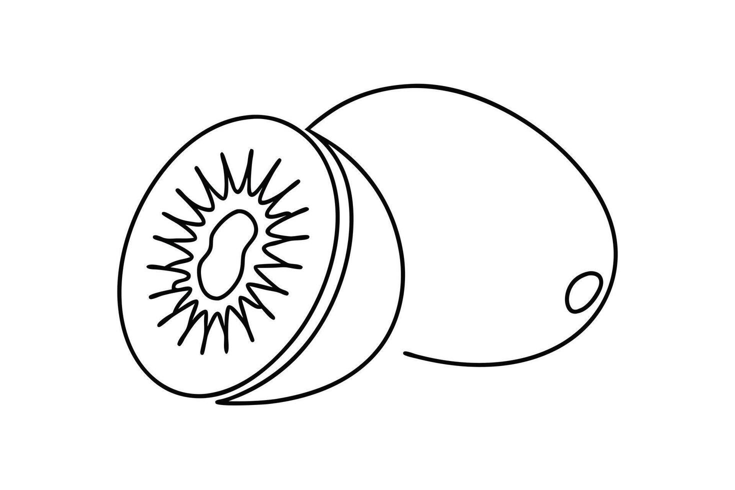 Kiwi Fruit Line Art Simple, Whole, and Half Slices vector
