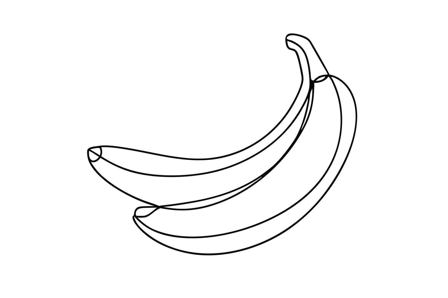 Simple Line Art Drawing of Two Bananas, Fruit Illustration vector