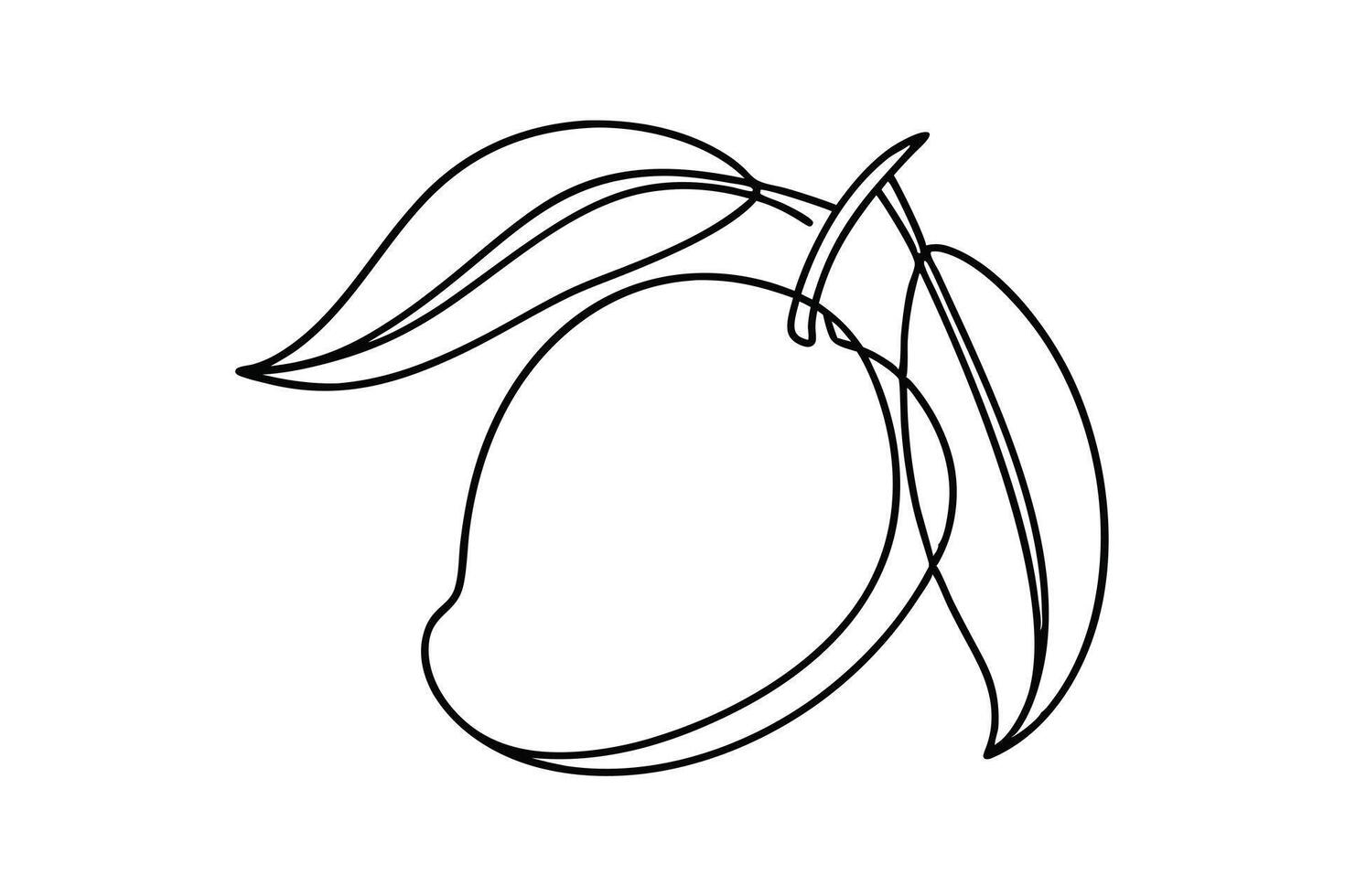 SingleLine Mango Drawing Minimalist Fruit Illustration vector