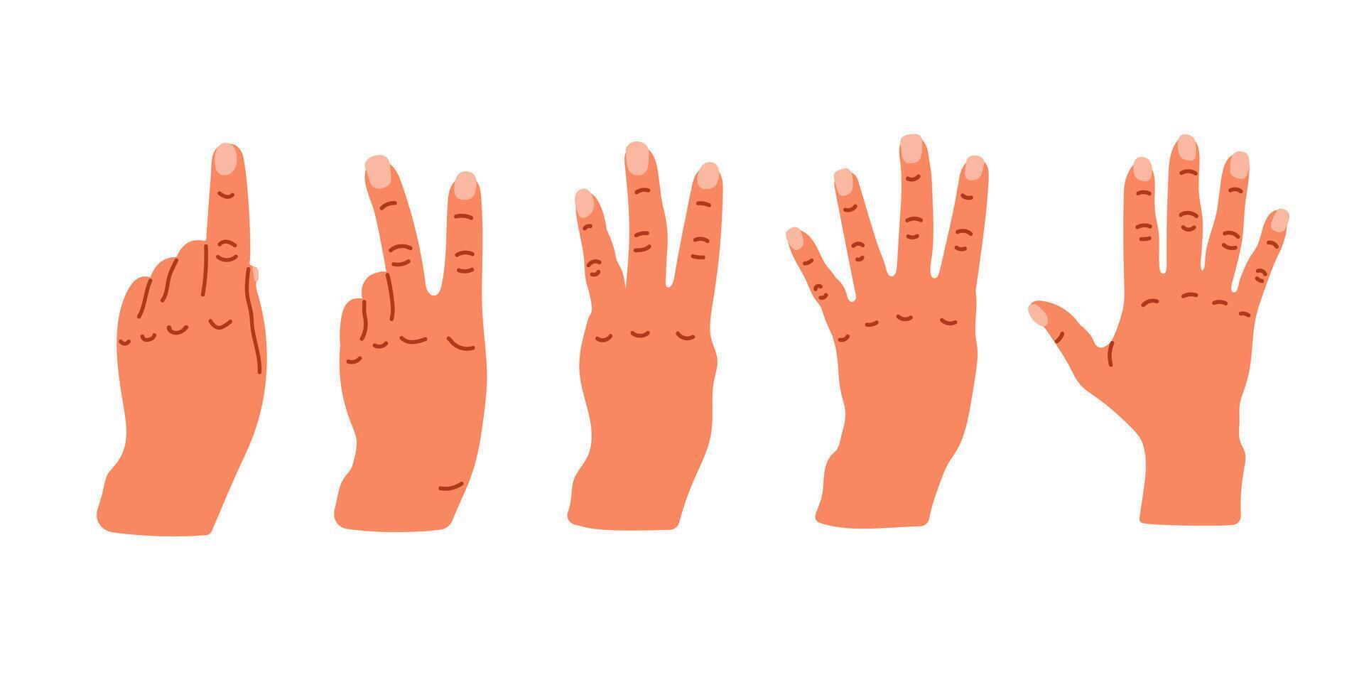 Hands count counting on the fingers Hand gesture illustration isolated. Numbers on the hands. Hand smudge. different nationalities races Diverse society Cartoon style vector