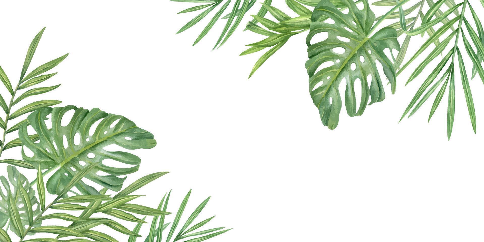 Watercolor tropical green palm and monstera leaves horizontal rectangle border isolated background. Summer foliage frame with copy space for text. Floral illustration for greeting card, invitation vector