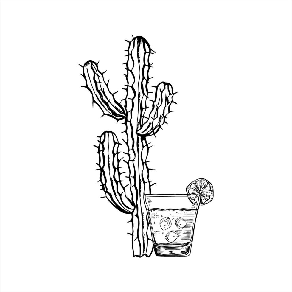 Glass tequila and prickly cactus plant illustration painted by black inks. Etching drawing of Mexican traditional drink with ice cubes, slice lime, opuntia succulent for tourist brochure vector