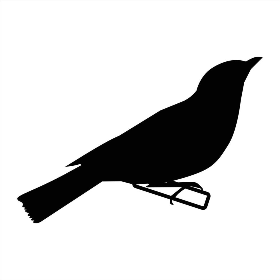 bird black silhouette vector