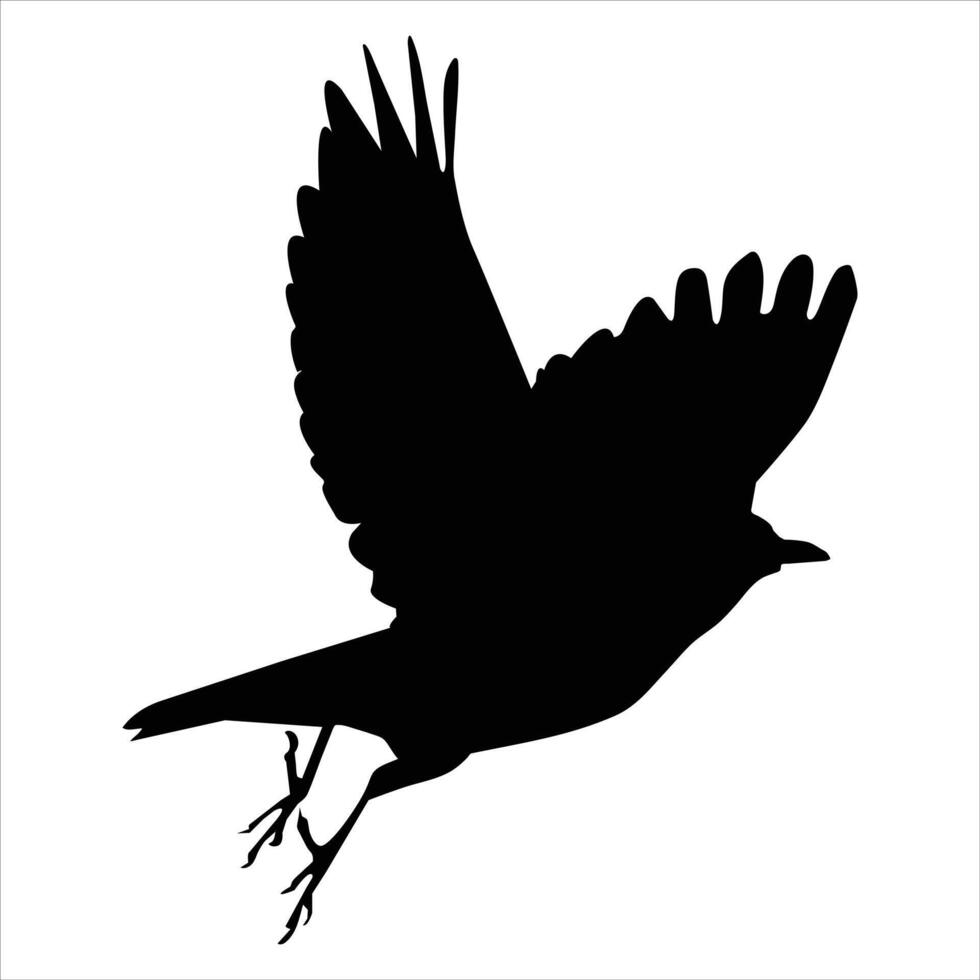flying bird silhouette vector