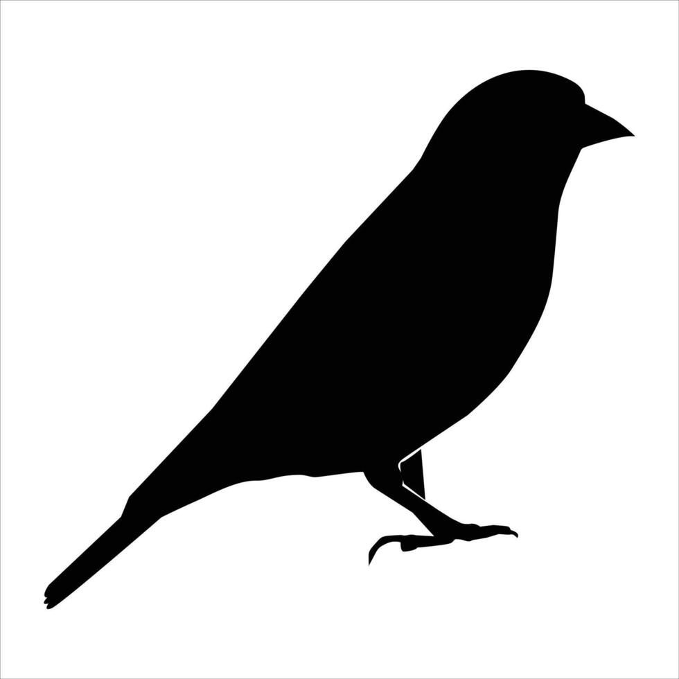 bird silhouette icon vector