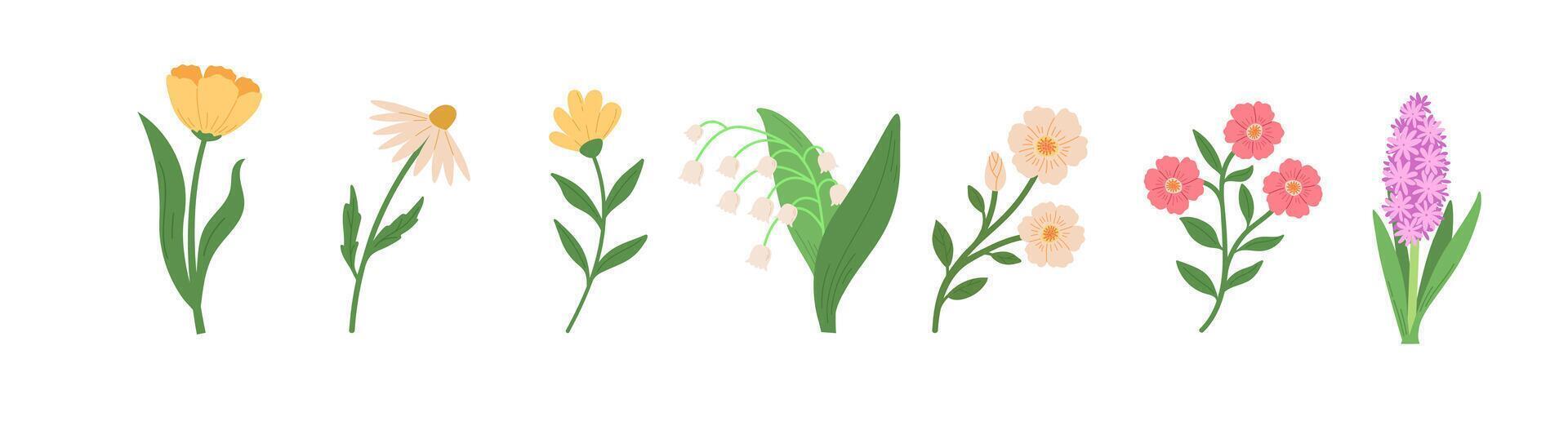 Set of spring blossom flowers illustrations. Hand draw style vector
