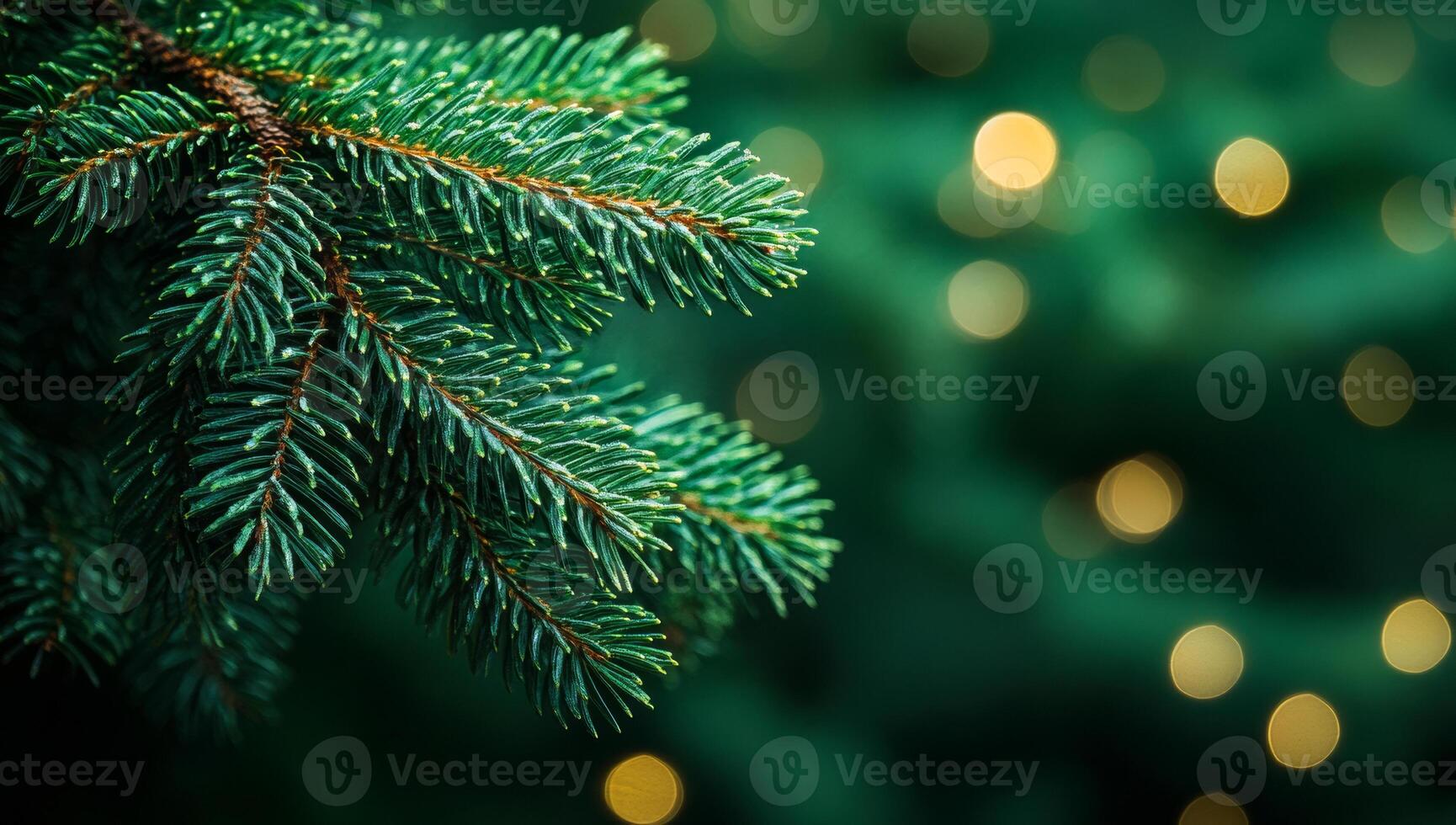 A green tree branch with a few leaves and a few lights in the background. The lights are blurry and create a sense of movement and depth photo