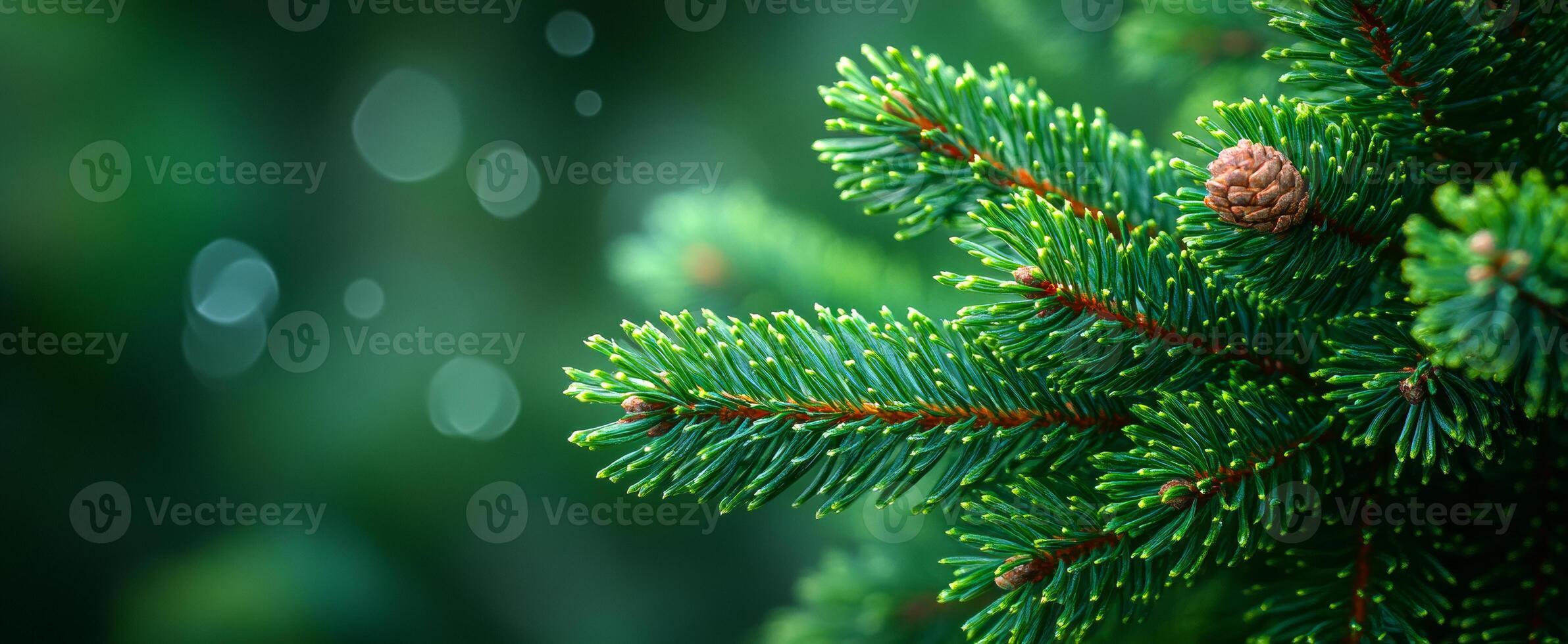 A green tree with a cone on top. The tree is surrounded by a blurry background. Concept of tranquility and natural beauty photo