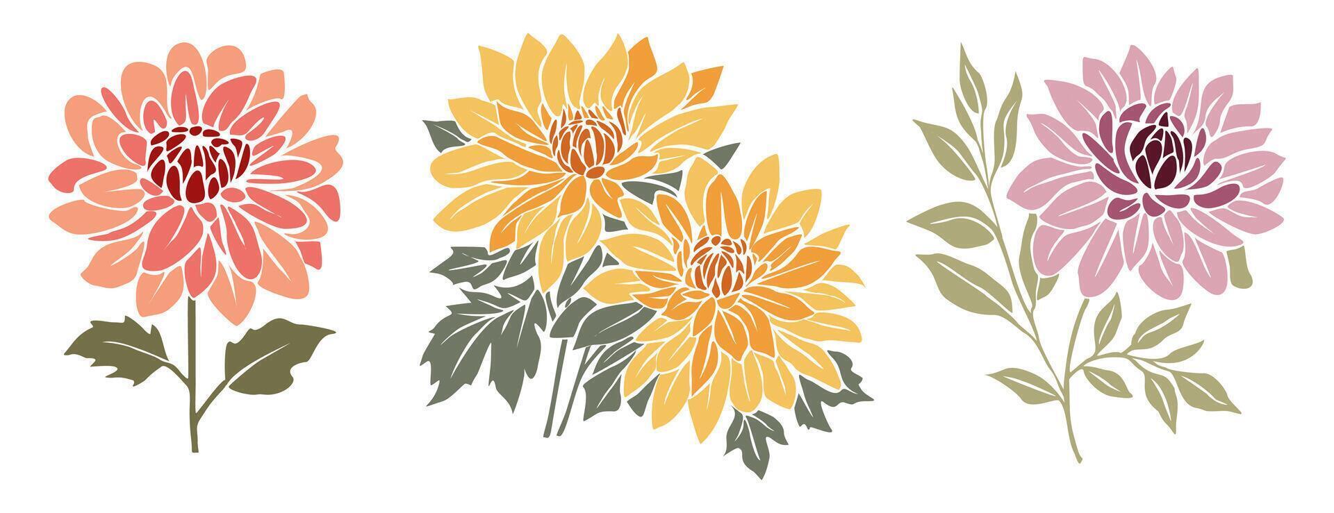 Dahlia flowers are shown in different colors vector