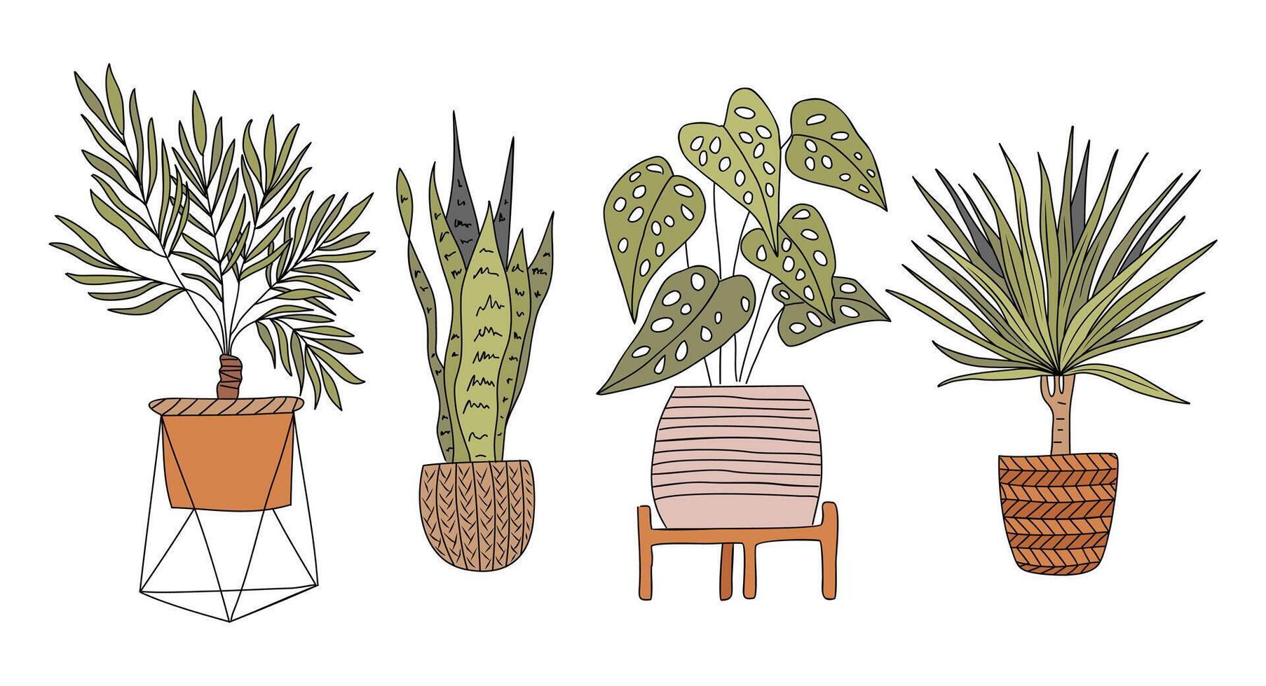 A set of four different types of house plants vector