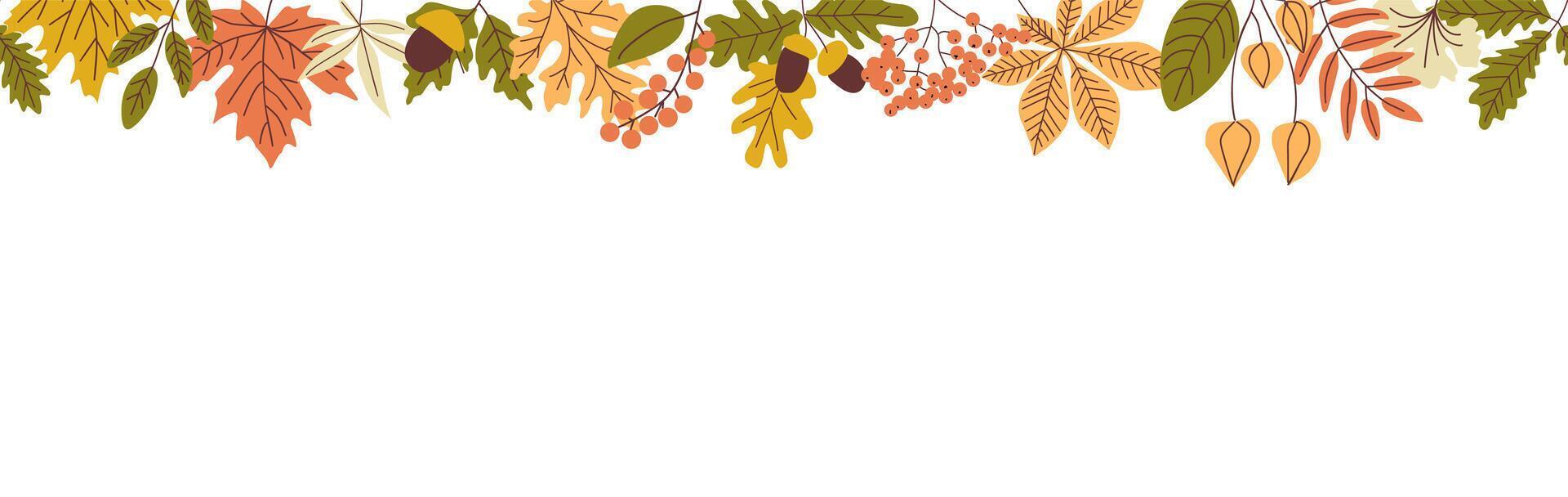 Autumn leaves background illustration vector