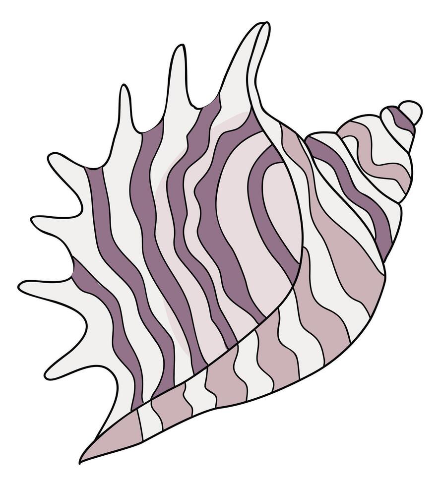 A purple and white shell with a zigzag pattern. The shell is drawn in a cartoon style vector