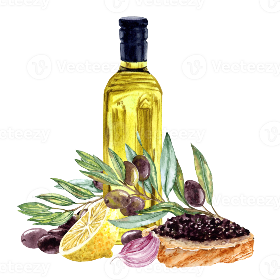 Aquarelle illustration of ingredients for Tapenade souce png