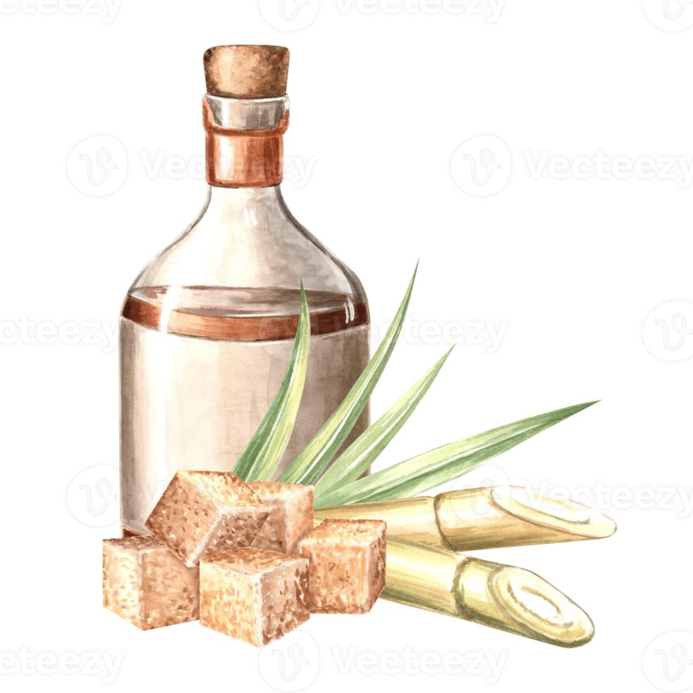Bottle of rum with cork. Sugarcane and brown sugar cubes. Transparent vessels with alcoholic drink, whiskey. Hand drawn watercolor illustration isolated. Clipart for food industry, menu, packaging. png