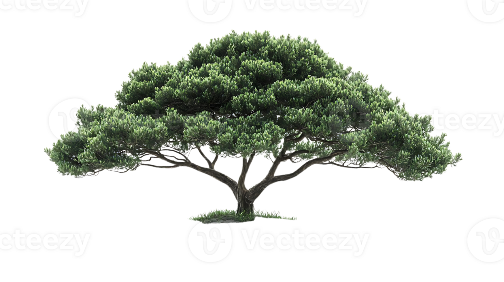 Create Lush Green Tree, Transparent Background, Ideal for Design Projects png
