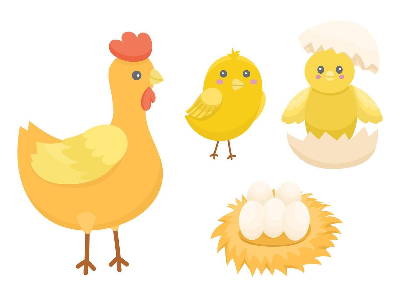 Educational set of illustrations, birth of cute chickens step by step. From egg to adult hen and chickens. Cute children's educational illustration for kindergarten and school children vector