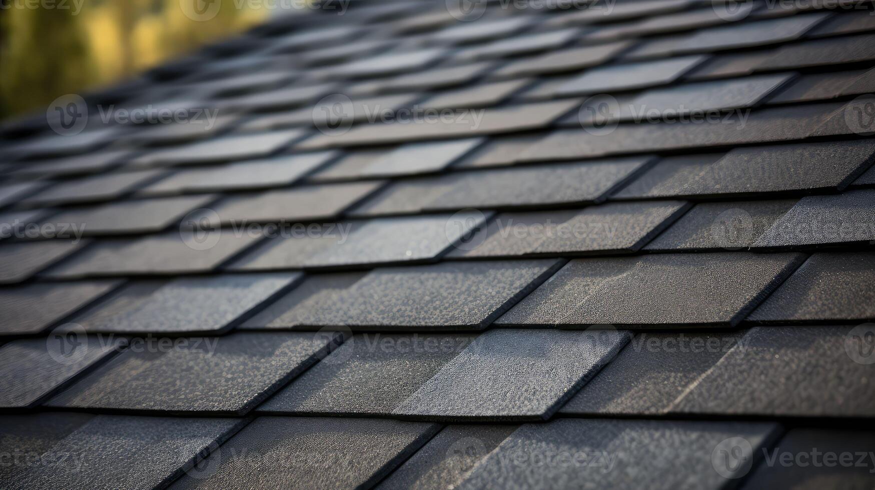 maintenance house shingles photo