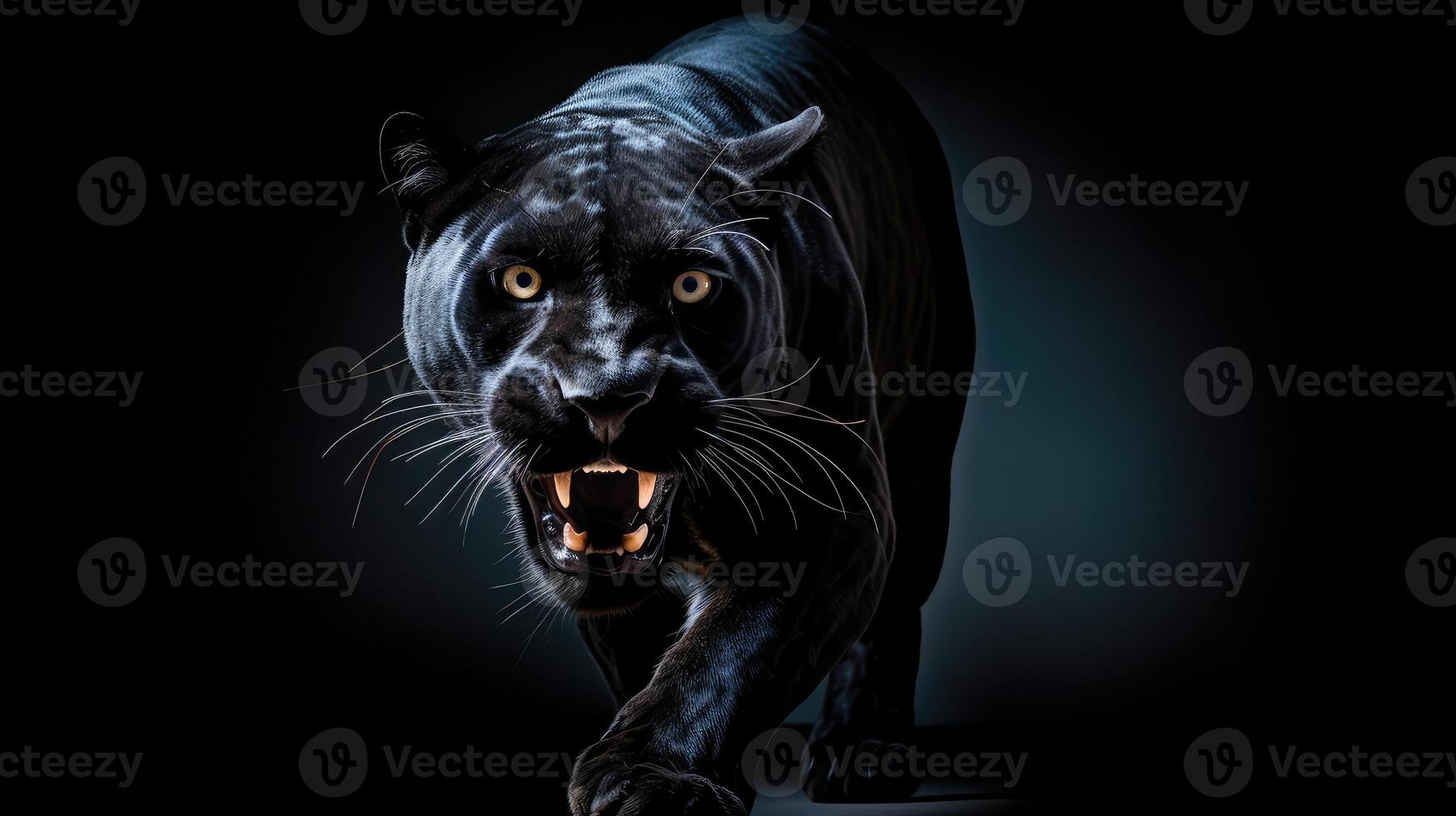 graceful panther black background photo