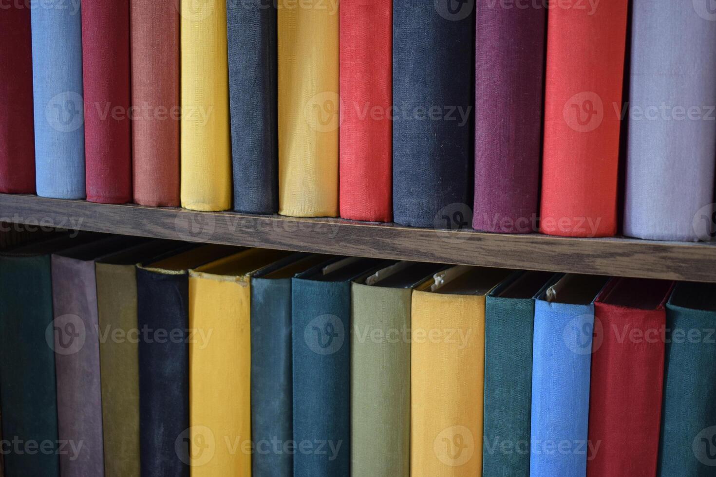 Shelf with books. Home library. Various books on a wooden shelf. Books. photo