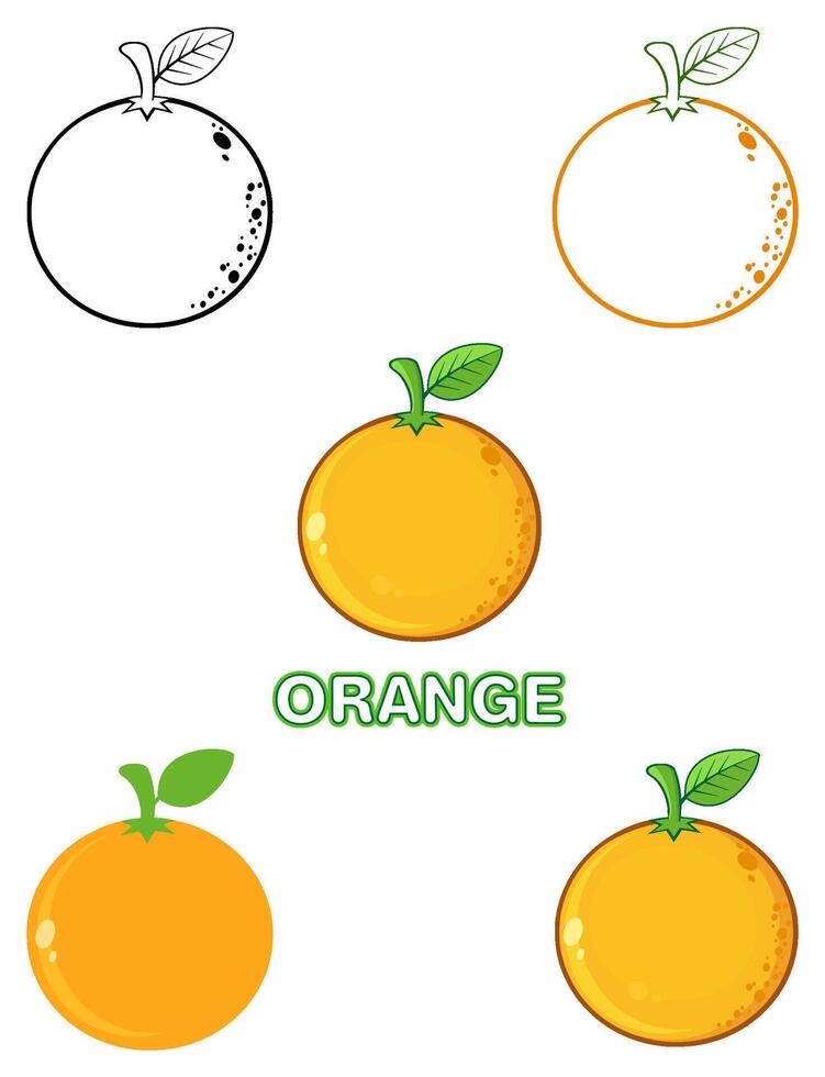 Juicy Orange Fruit Collection with Various Designs vector