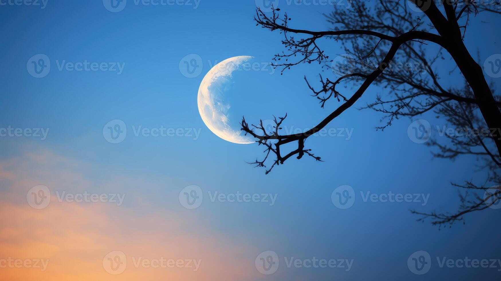 crescent moon and sun photo