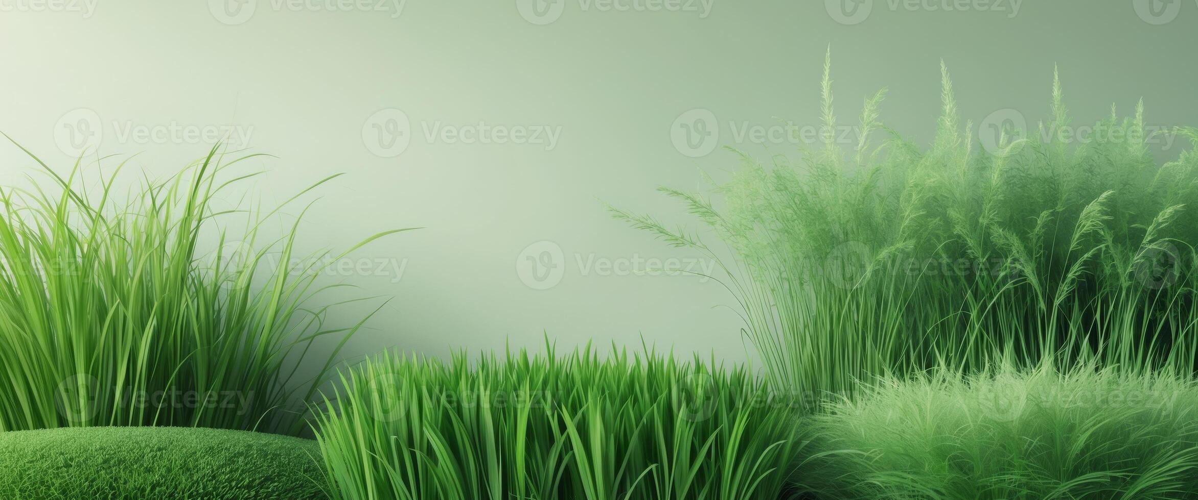 Texture of lush green grass in various forms from short turf to tall meadow perfect for backgrounds and design. photo