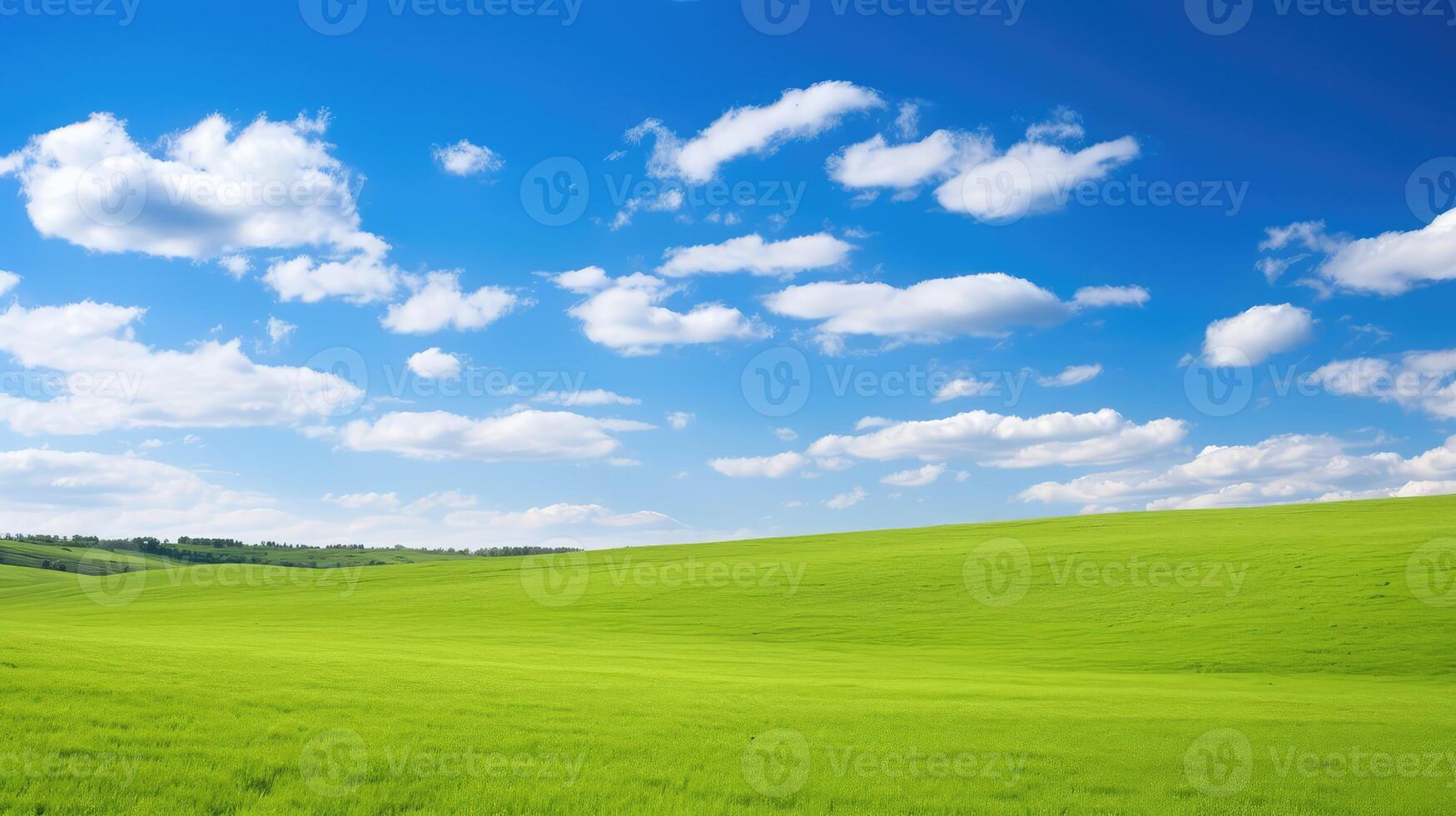 outdoors green grass blue sky photo