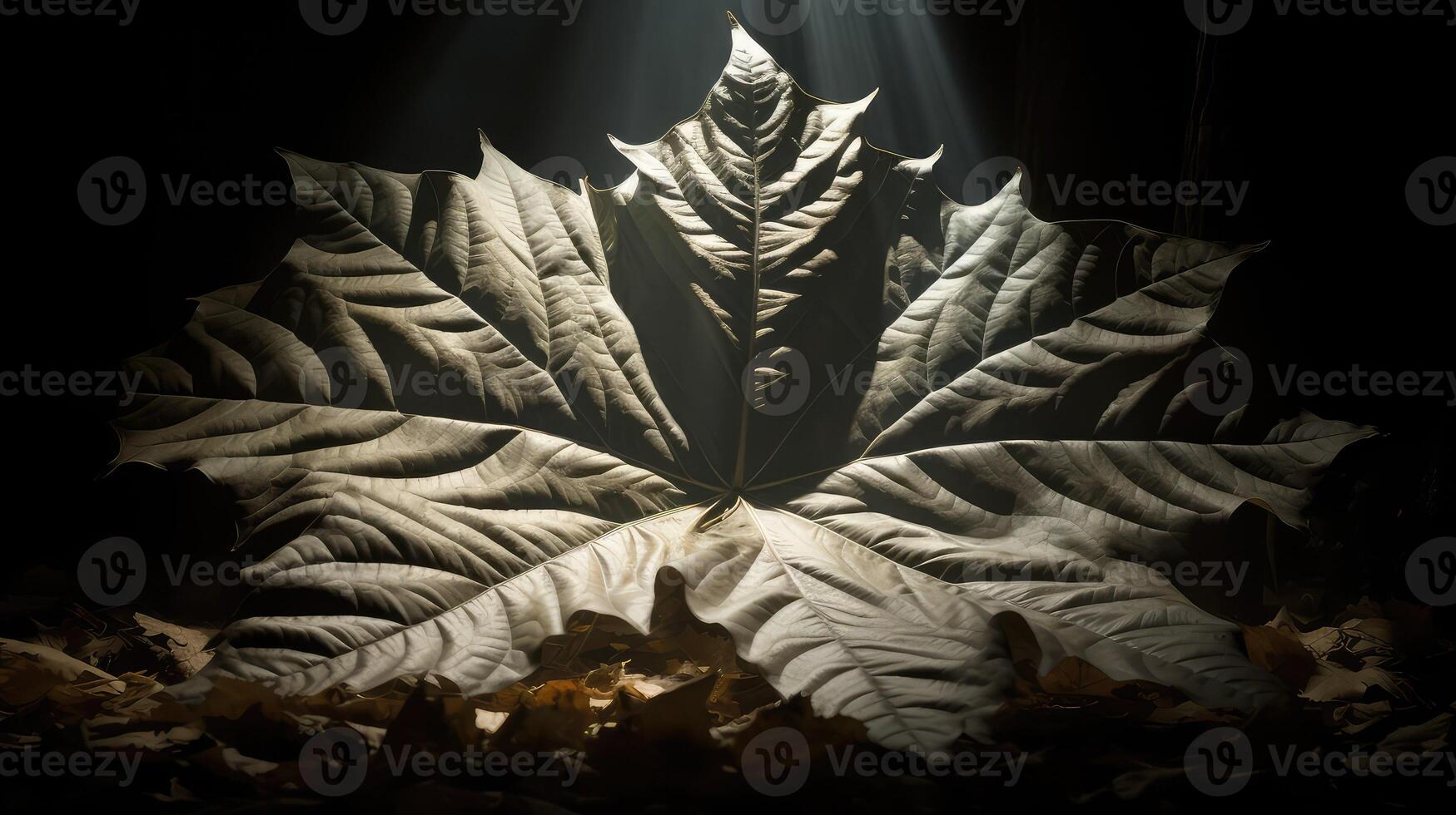 illusion monster leaf photo