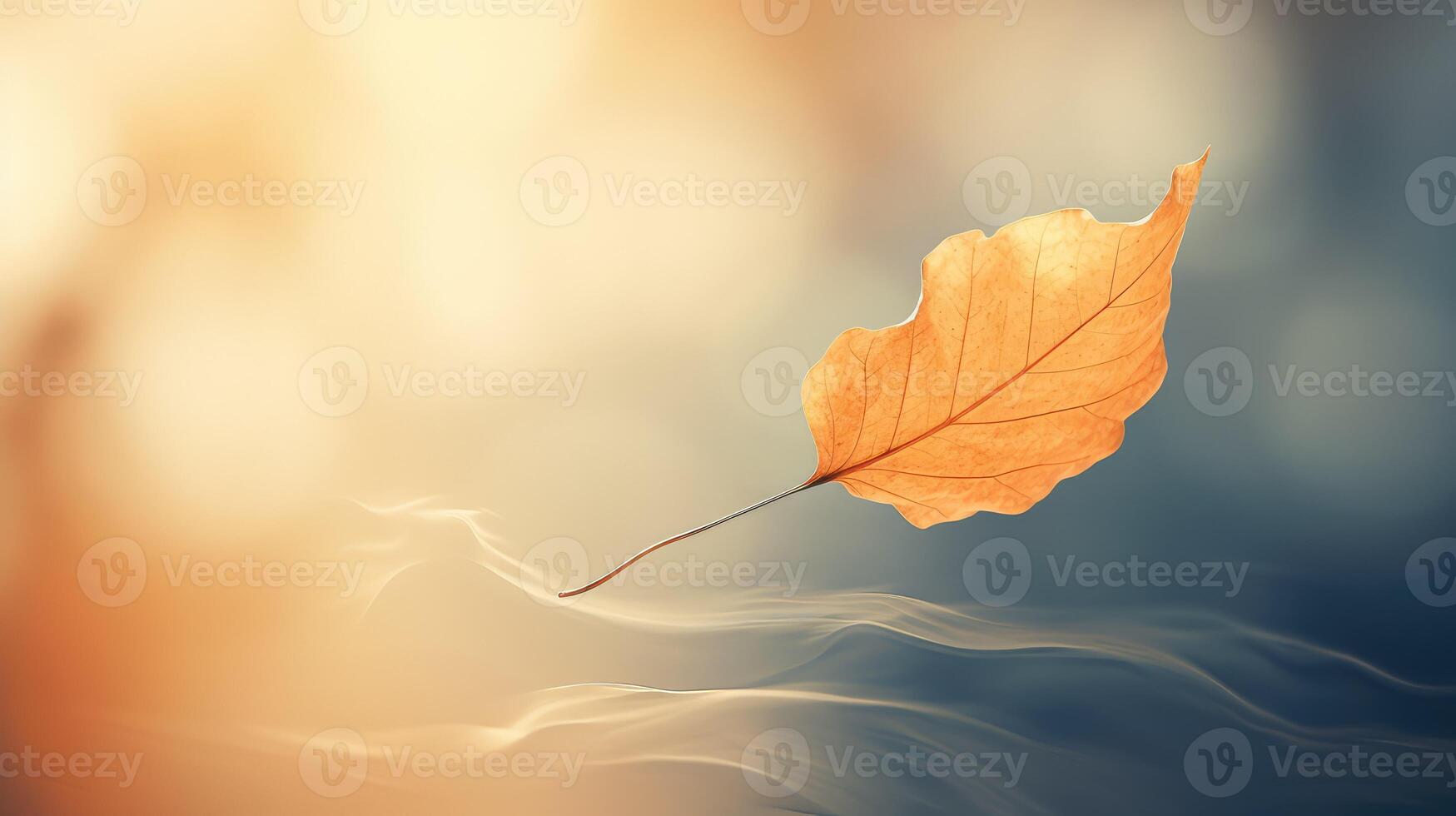 floatg leaves blowing in wind photo