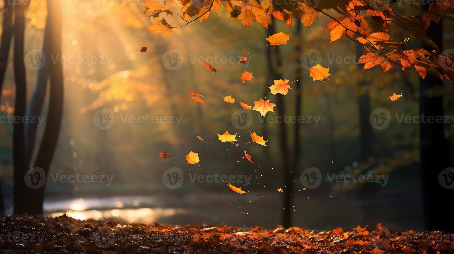leaves leaf drop photo