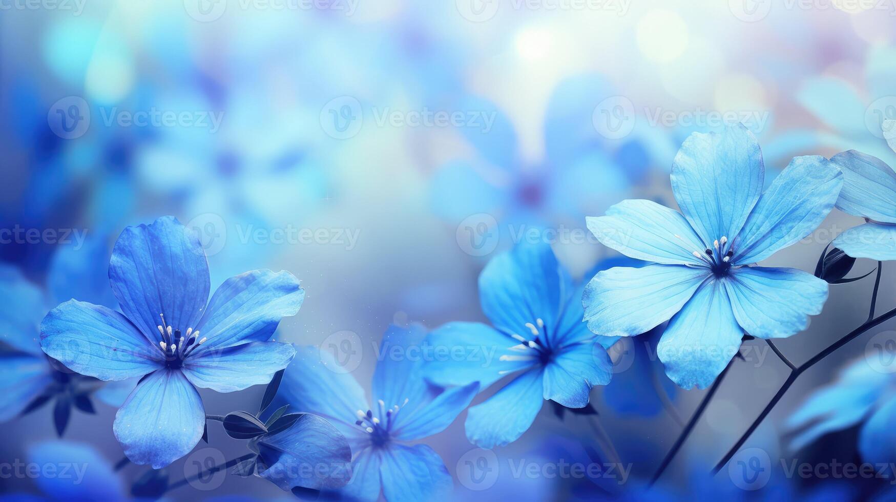 delicate blue floral backgrounds photo