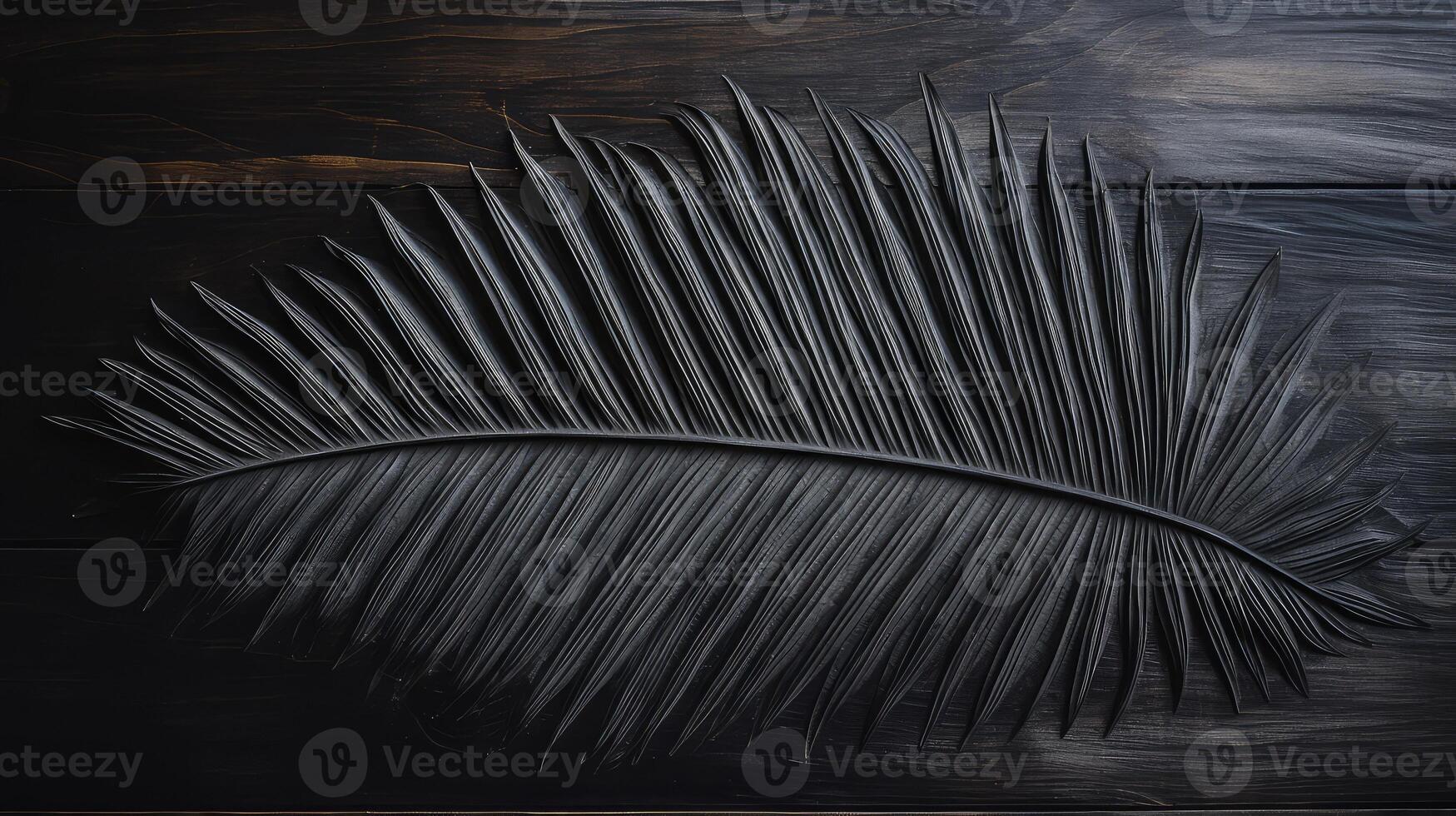 photo palm leaf outline