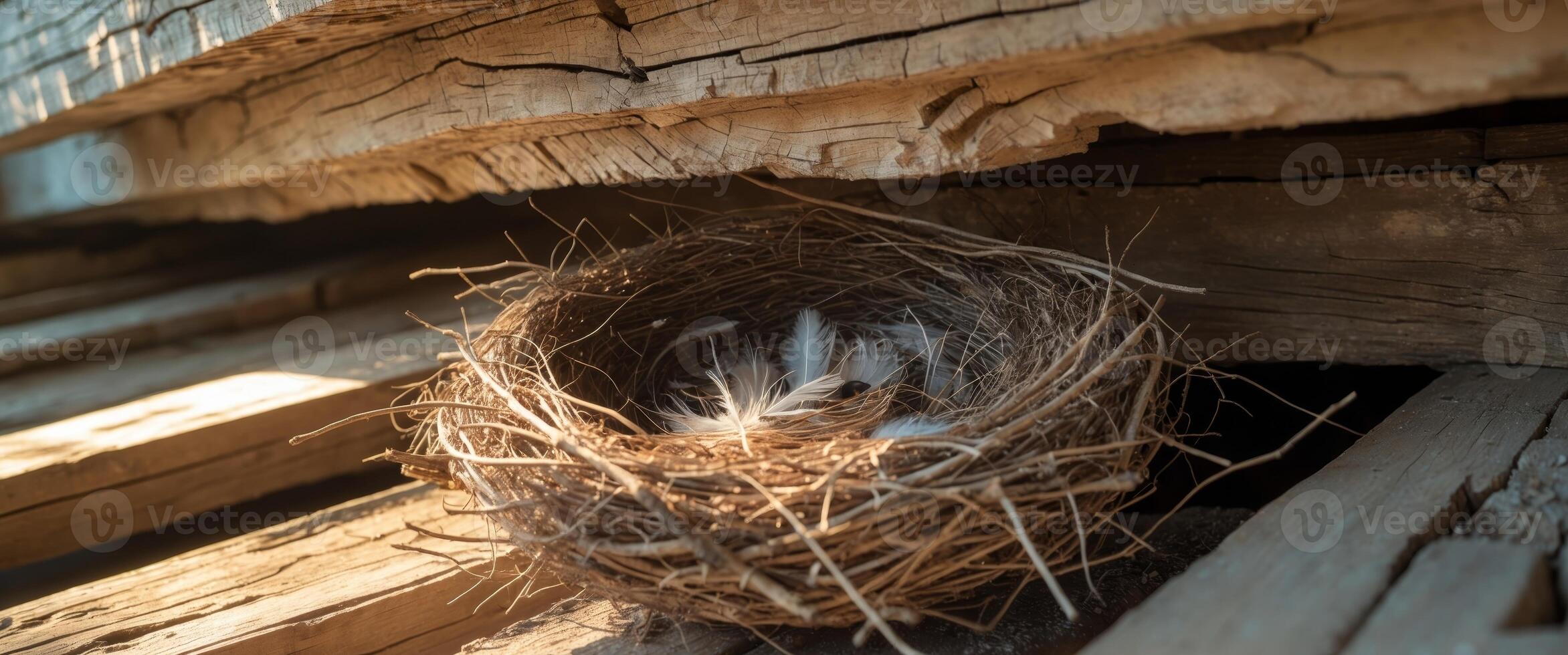 Nest built by a bird under a wooden beam in a rustic structure during daytime. photo