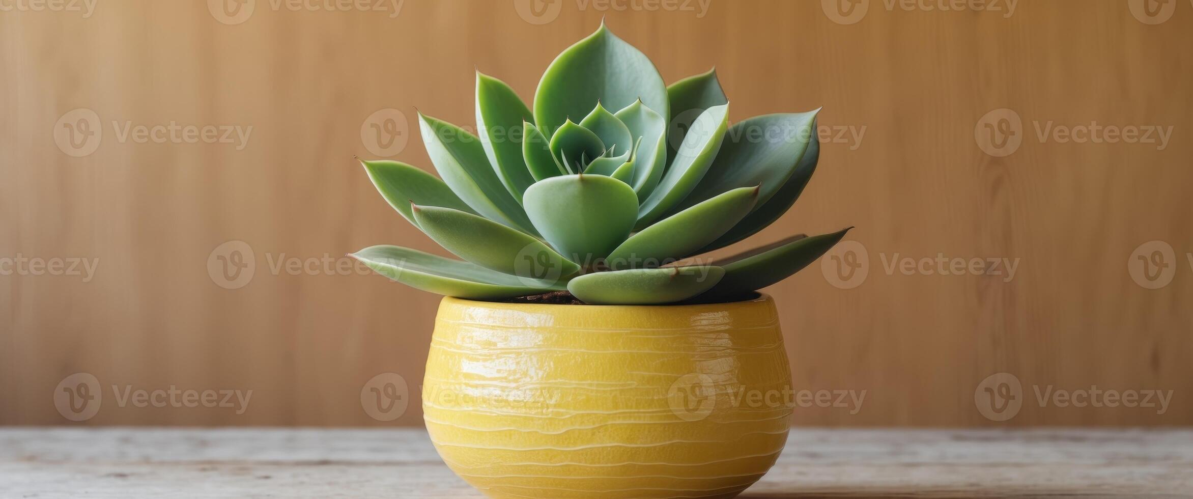 Succulent in bright yellow pot on wooden background showcasing a stylish indoor plant design with ample copy space for text insertion. photo