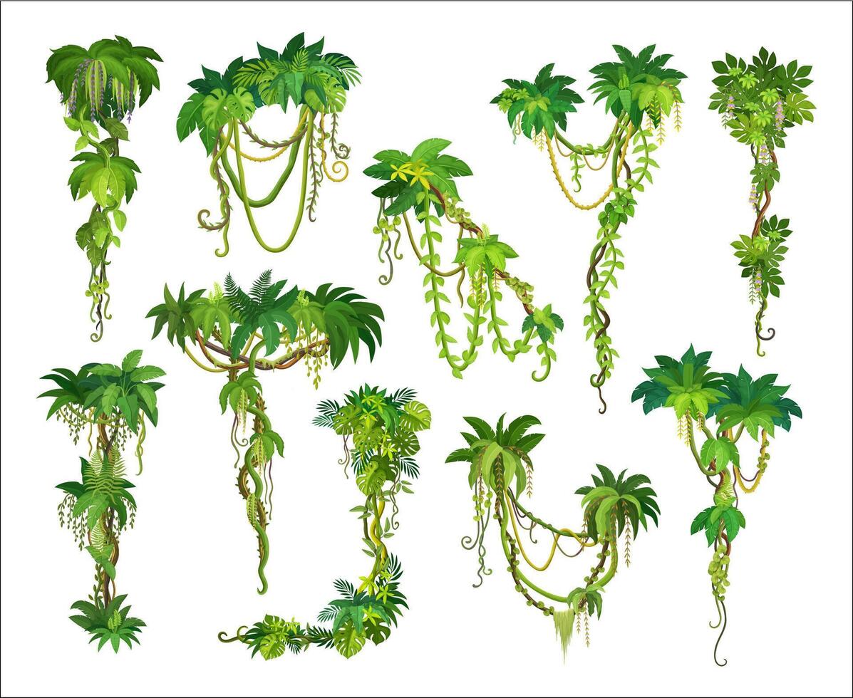Tropical jungle rainforest vertical liana branches vector