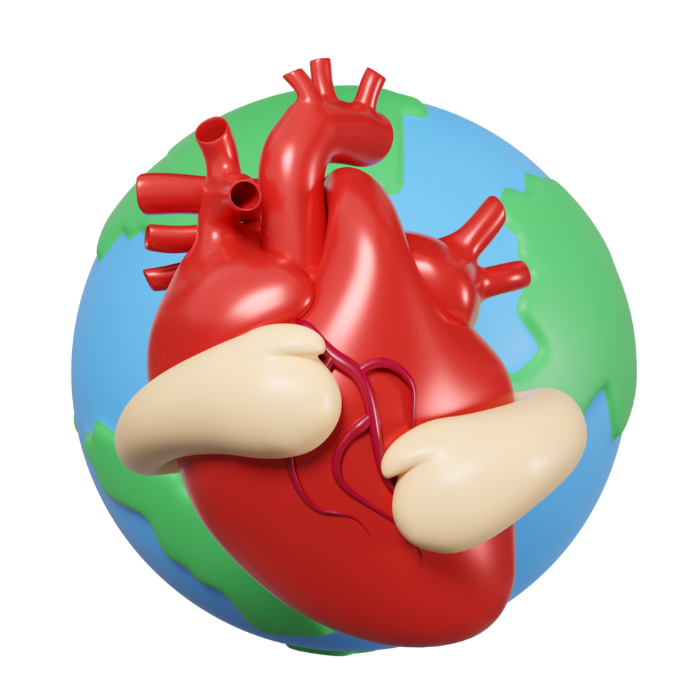 3d hands hugging realistic human heart, globe isolated. health love or world heart day concept, 3d illustration render png