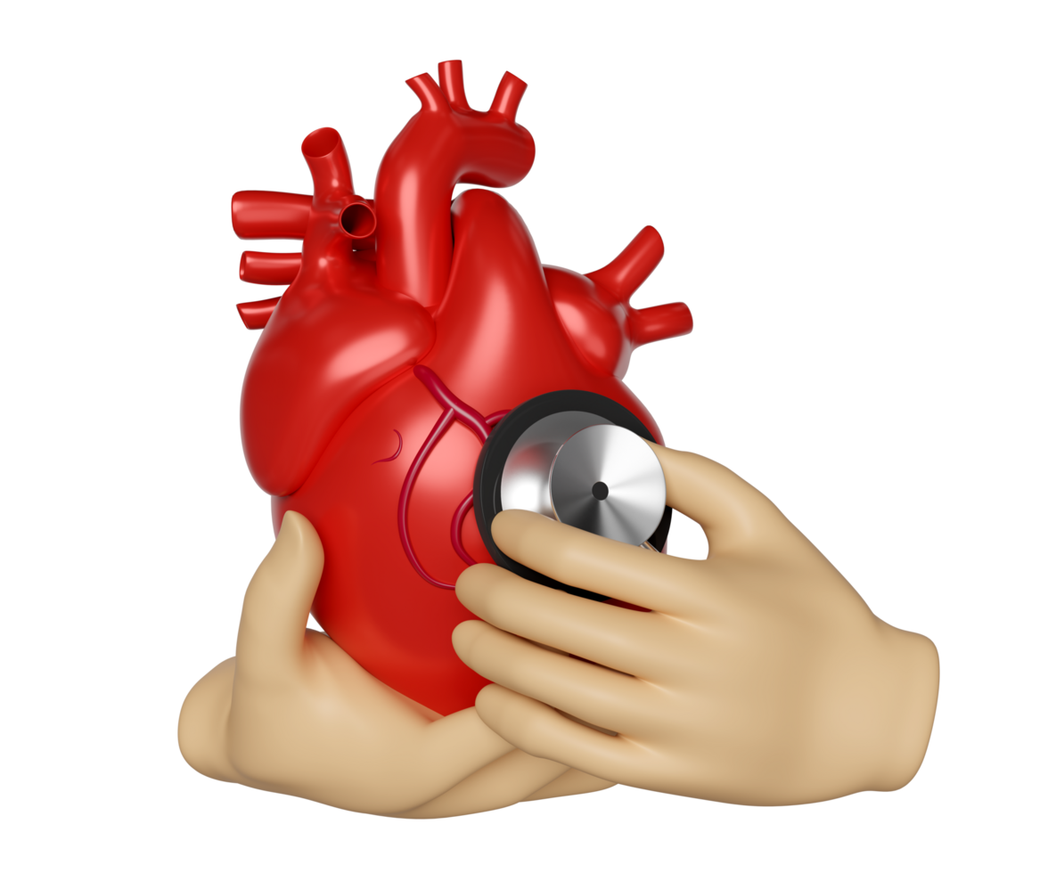 Two hands holding realistic human heart with stethoscope isolated. health check concept, 3d illustration render png