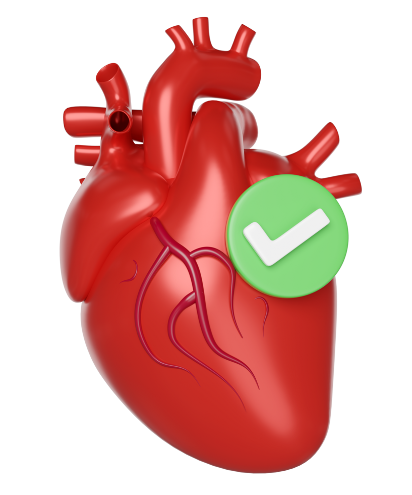 3d realistic human heart with check mark isolated. health check concept, 3d illustration render png
