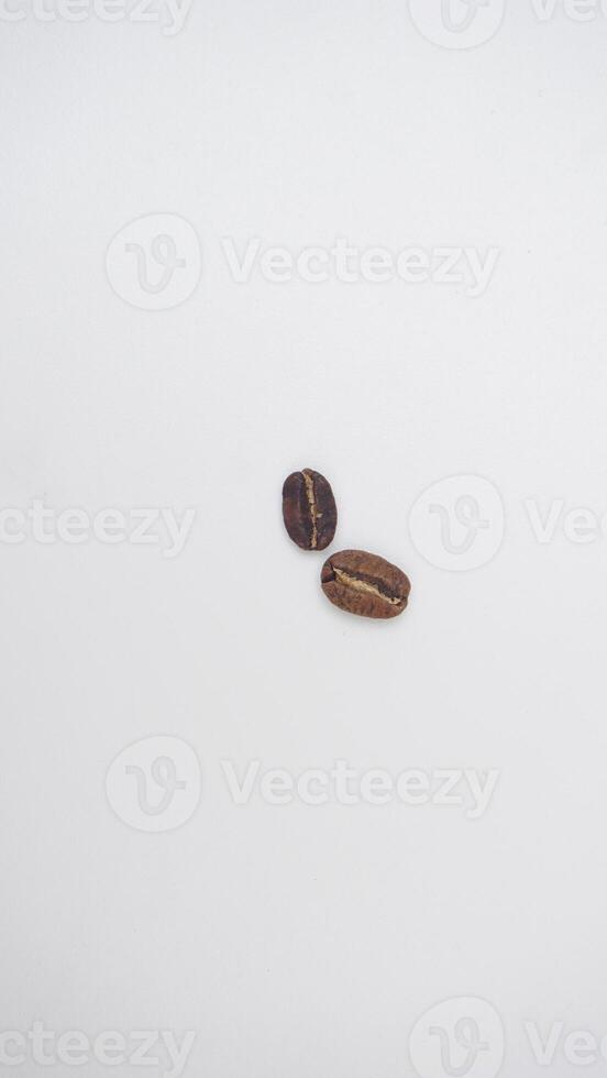 Top View of Two Coffee Beans on White Background photo