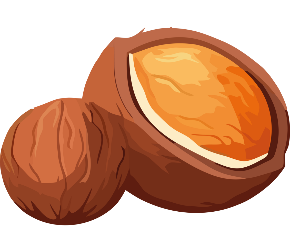 Ripe nut seed, a healthy tropical snack element icon isolated png