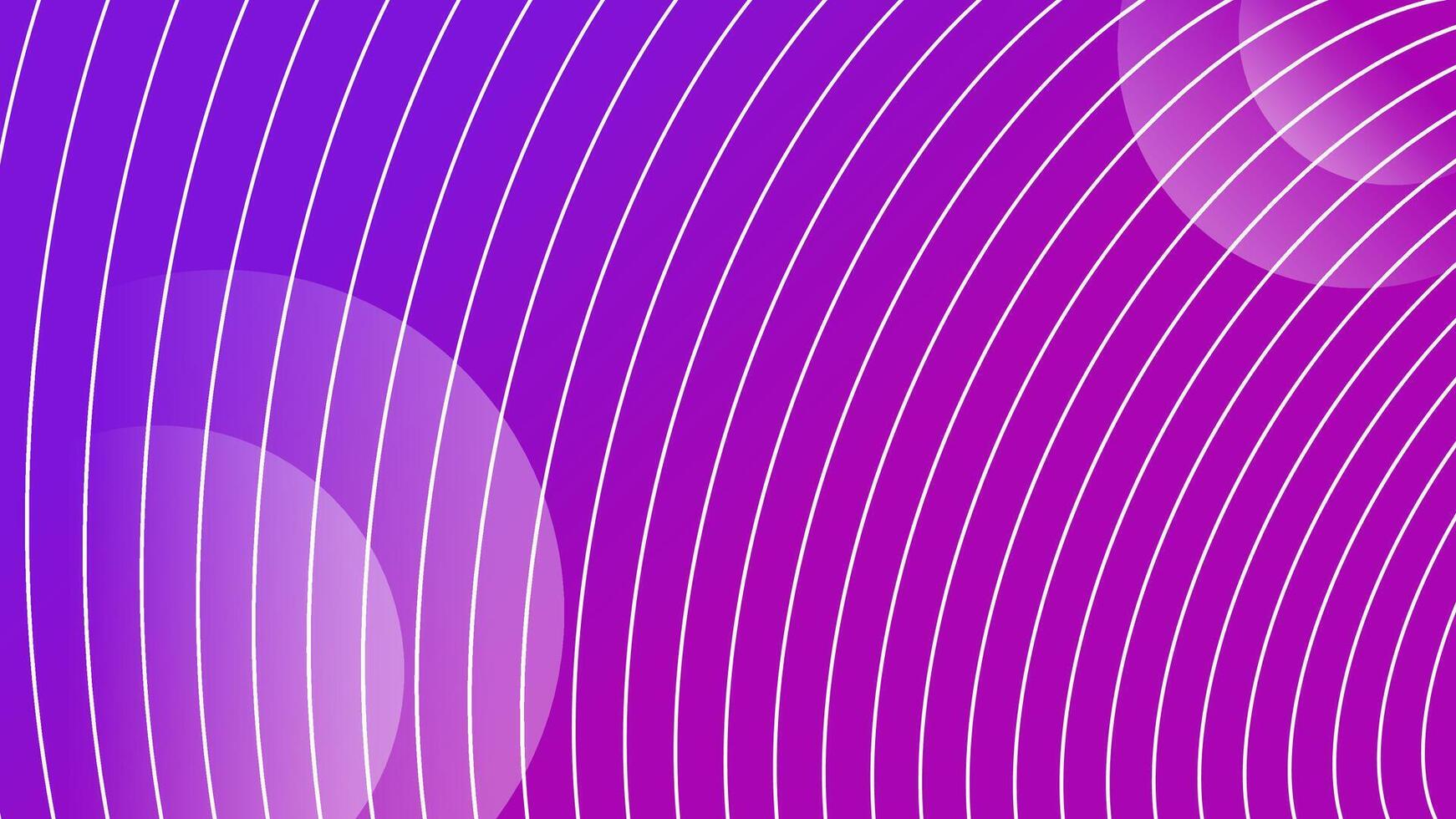 A purple and pink background with lines vector