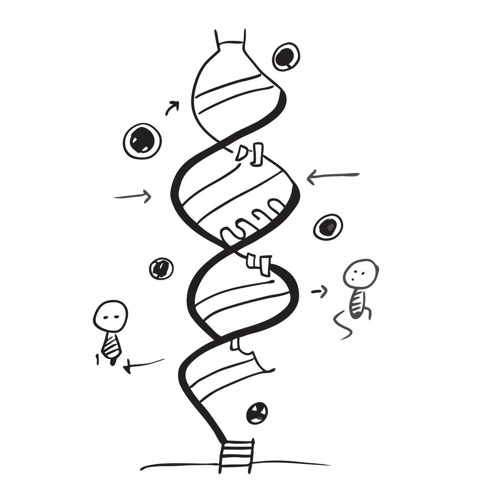 Glowing abstract DNA helix representing organizational structure concept as A close up shot of a glowing abstract DNA helix symbolizing organizational structure and operational man pure vector