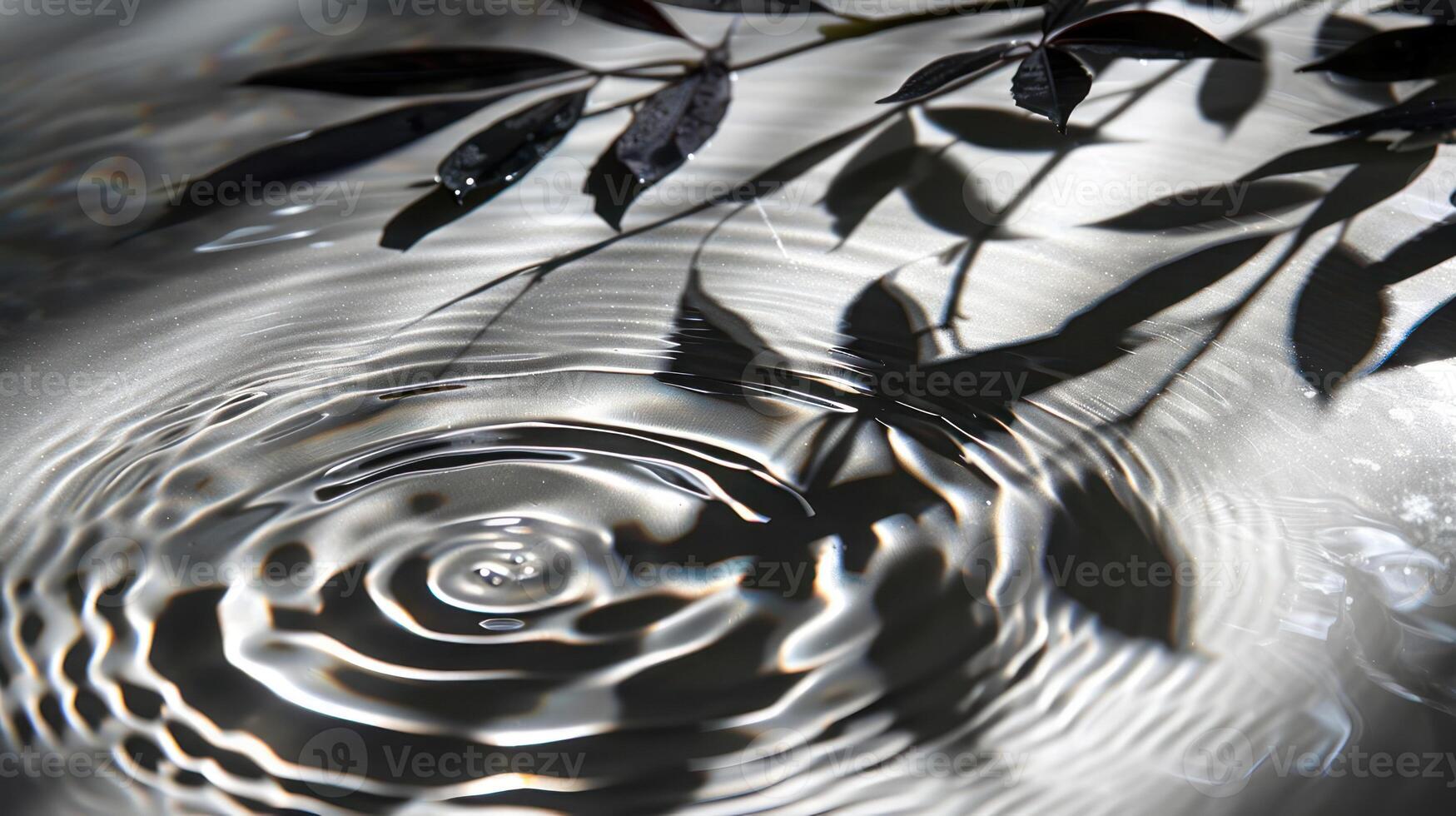 Tranquil water surface reflecting shadows of leaves, creating a serene natural scene photo
