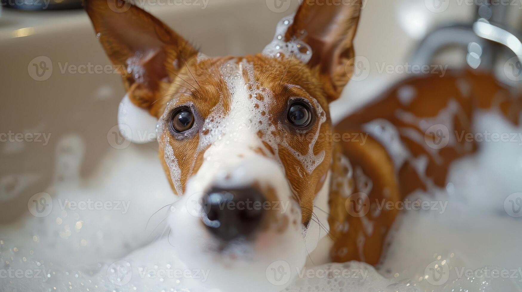 A playful dog enjoying a bubbly bath in a cozy bathroom with soap suds everywhere photo