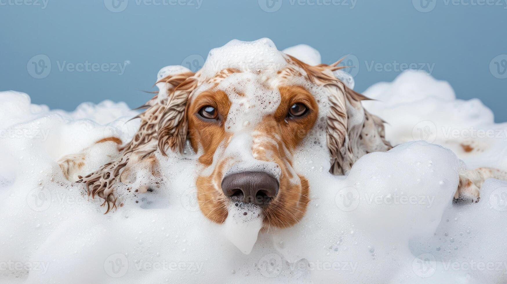A playful dog enjoying a bubbly bath, surrounded by foam, with a serene blue background photo