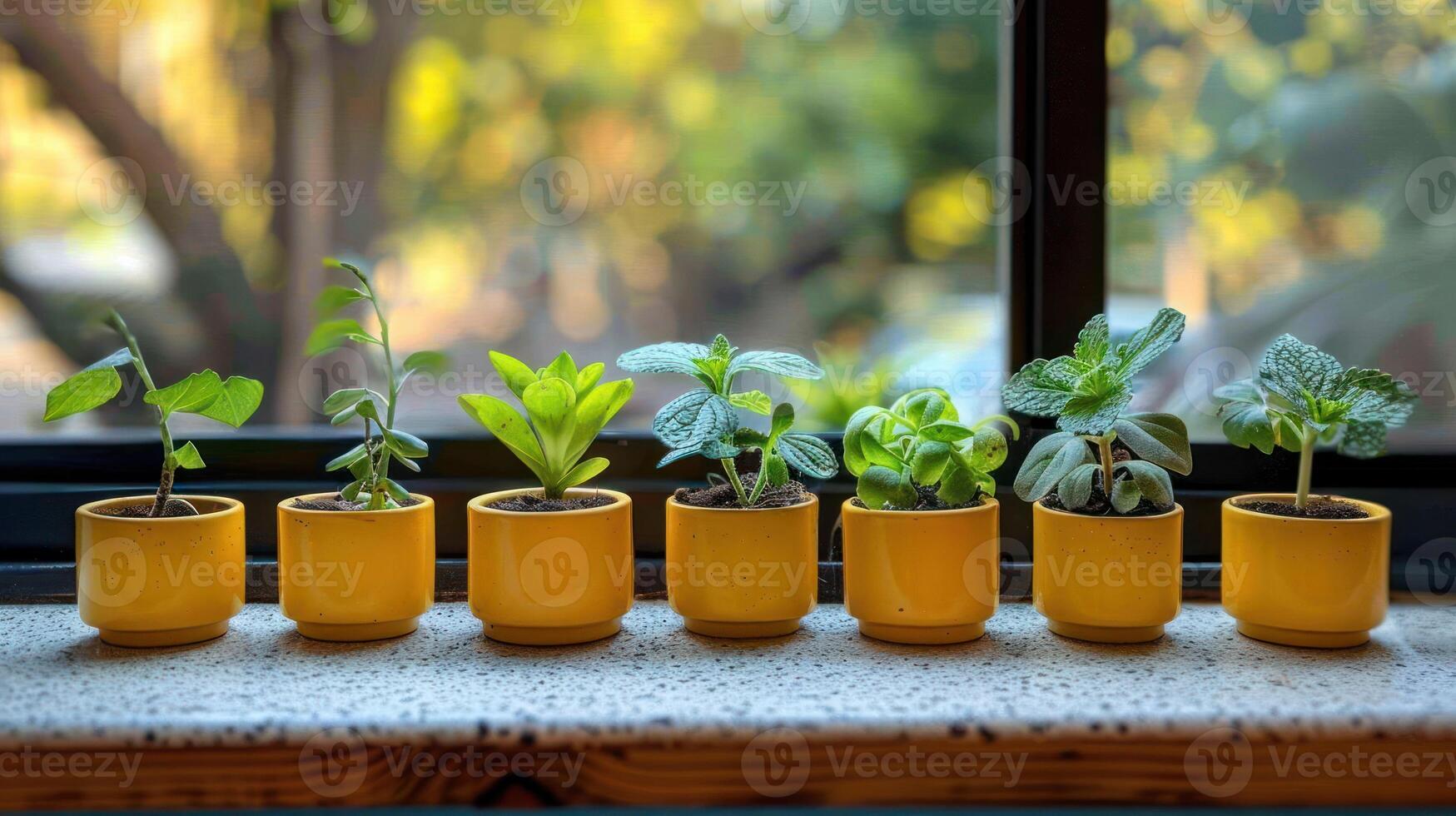 Vibrant indoor garden with various small plants in yellow pots on a windowsill, sunlight filtering through photo