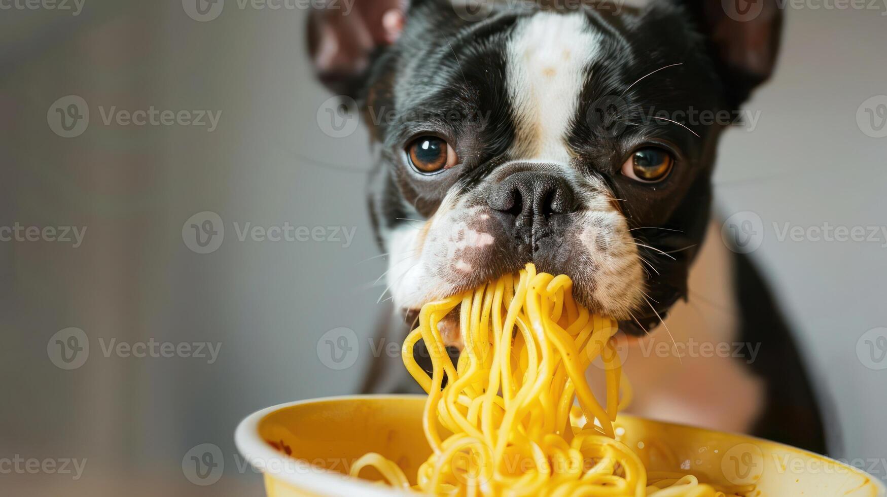 A playful dog enjoying a bowl of spaghetti, with a cozy kitchen background and soft lighting photo