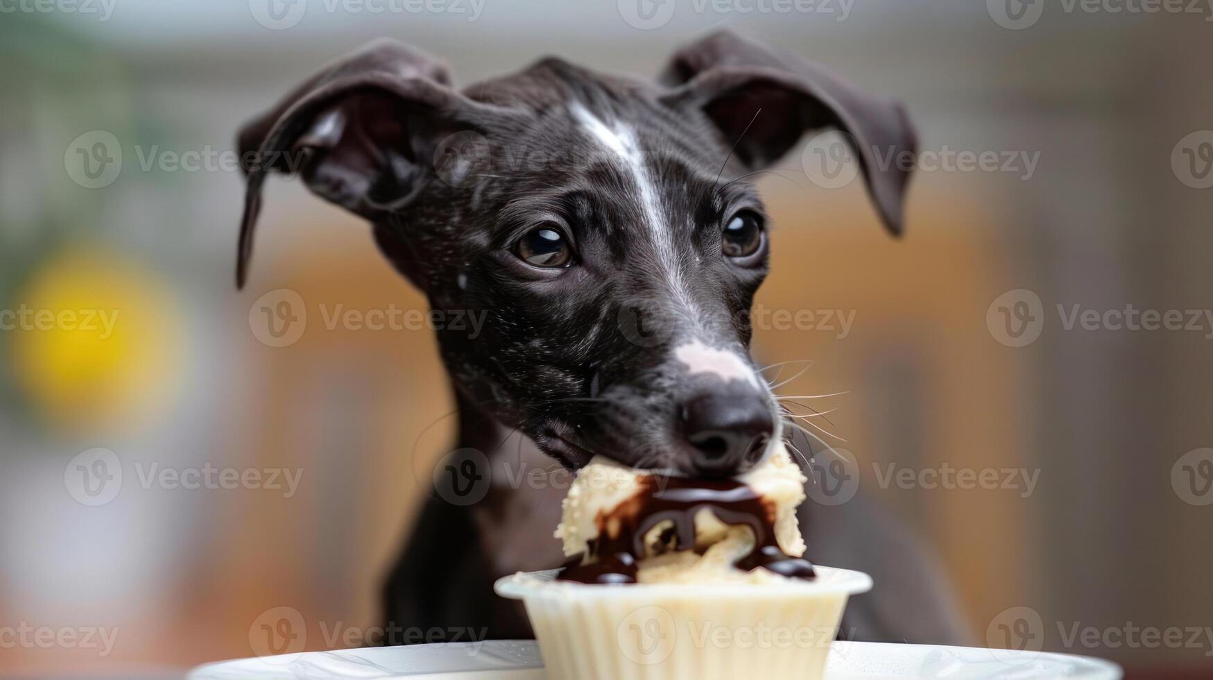 Playful dog enjoying a cupcake in a cozy indoor setting with soft lighting and blurred background photo