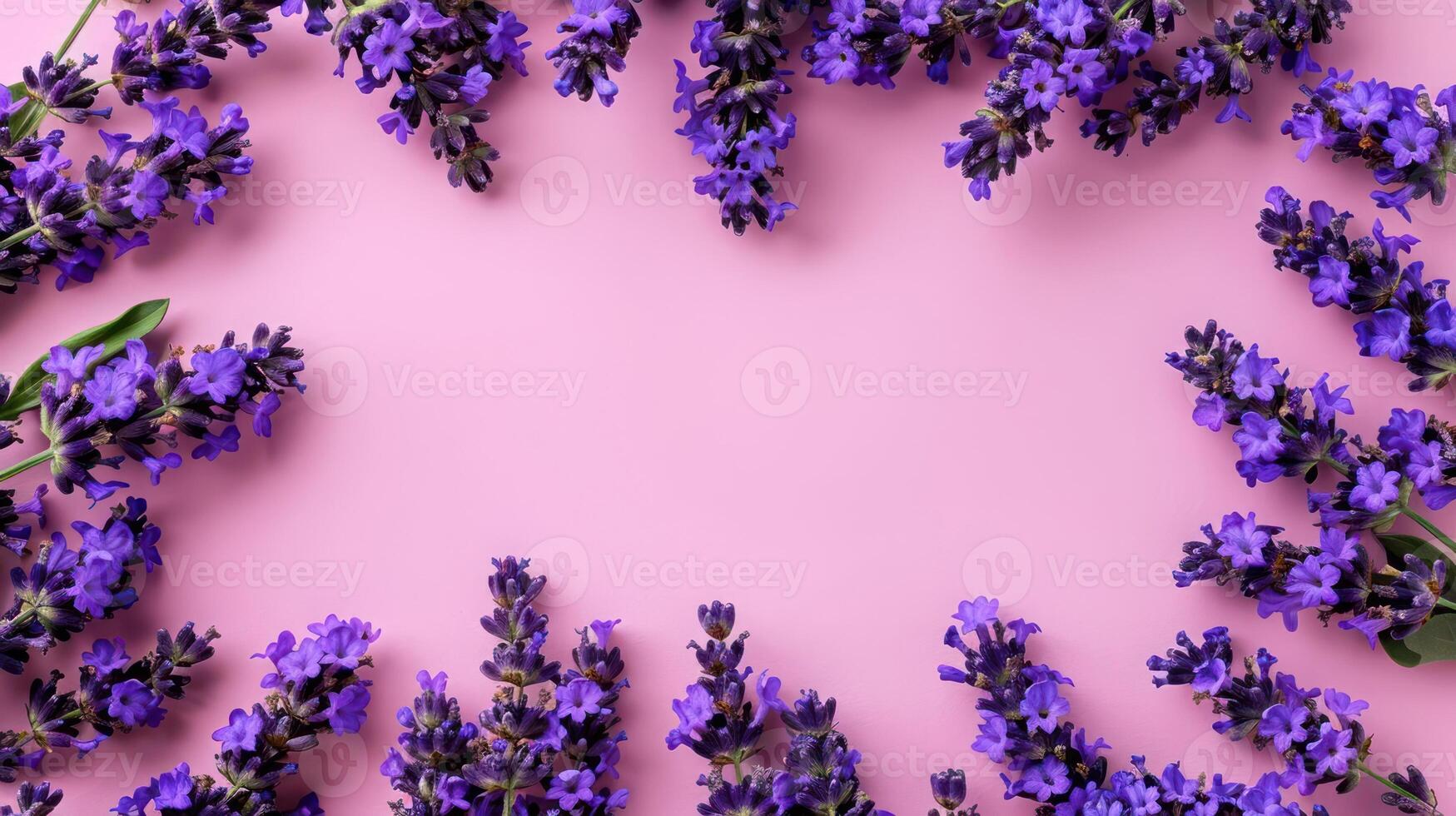 Vibrant purple flowers arranged on a pink background, creating a visually appealing floral frame photo